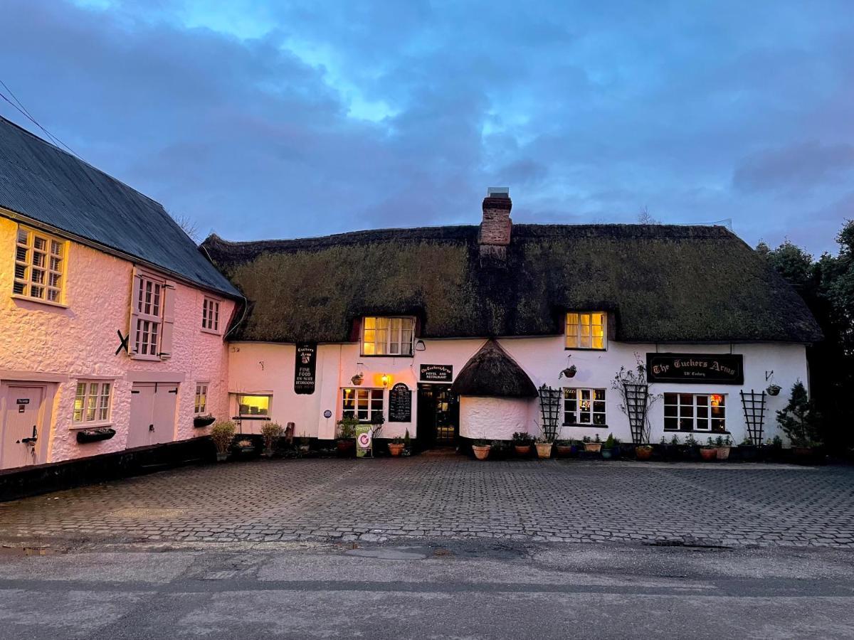 The Tuckers Arms Bed & Breakfast Axminster Dış mekan fotoğraf